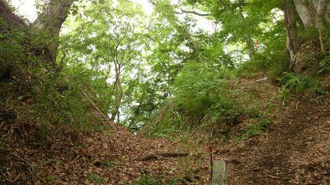 月居城