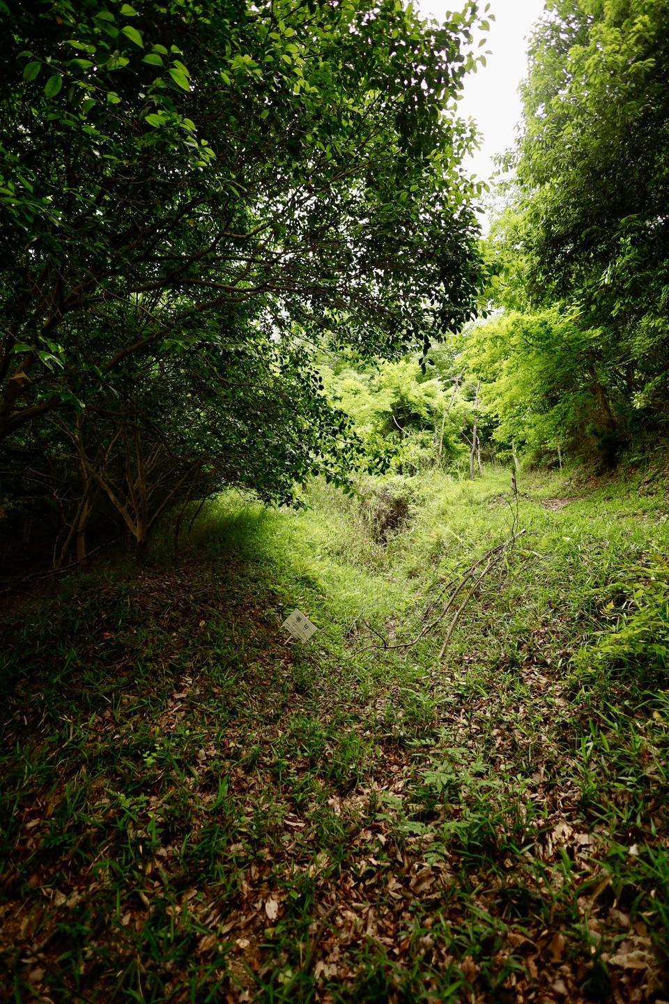 恒屋城