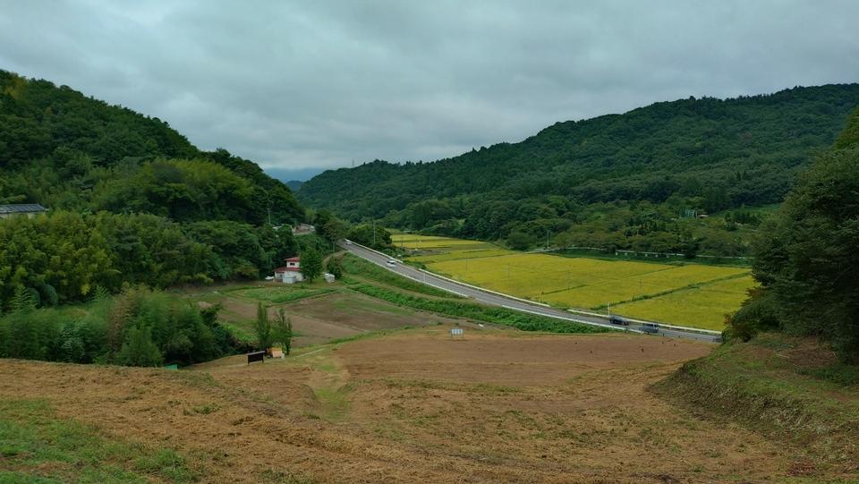 大波城
