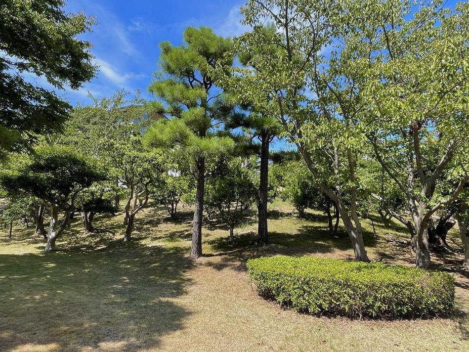 松帆台場