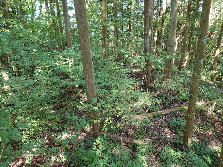 千里城