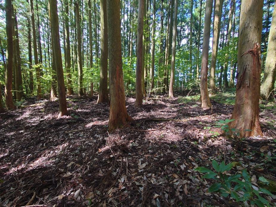 千里城