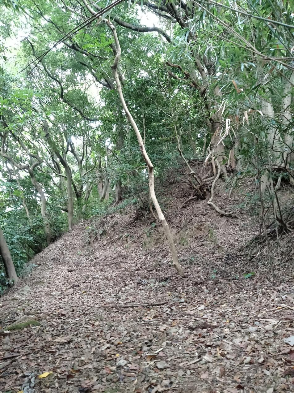 片脇城