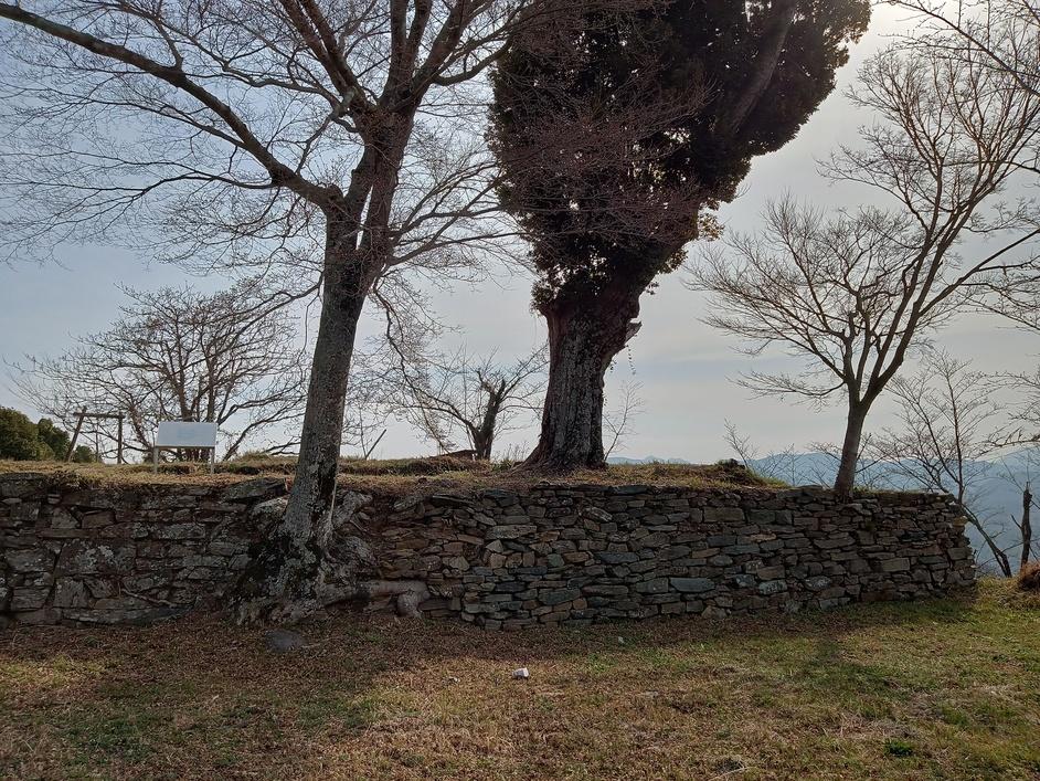 猫尾城