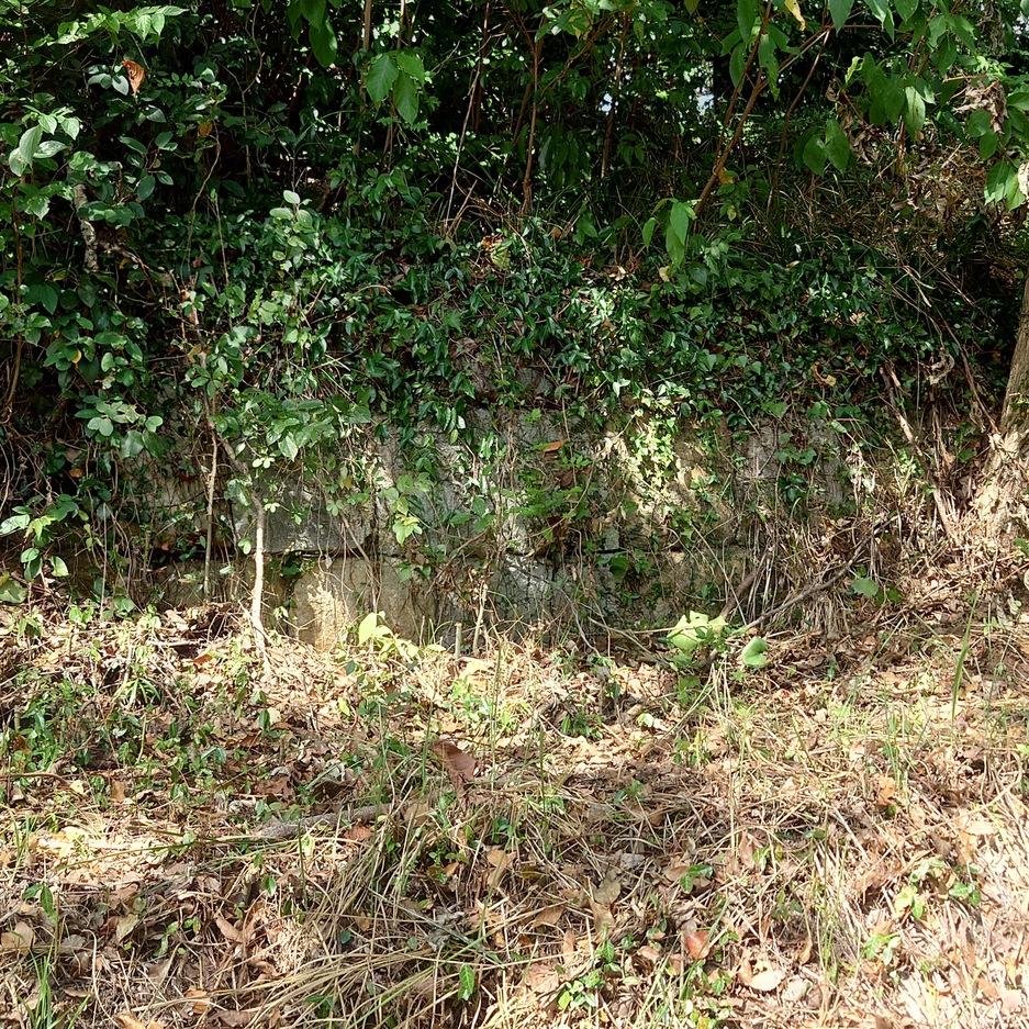 大矢野城