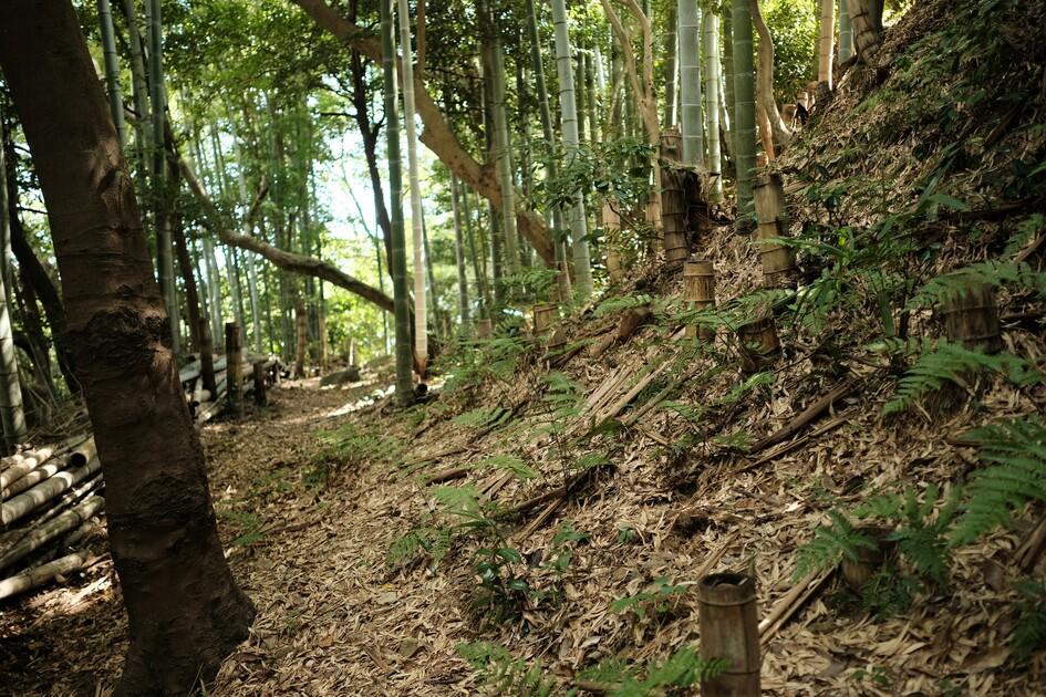 大嶋城