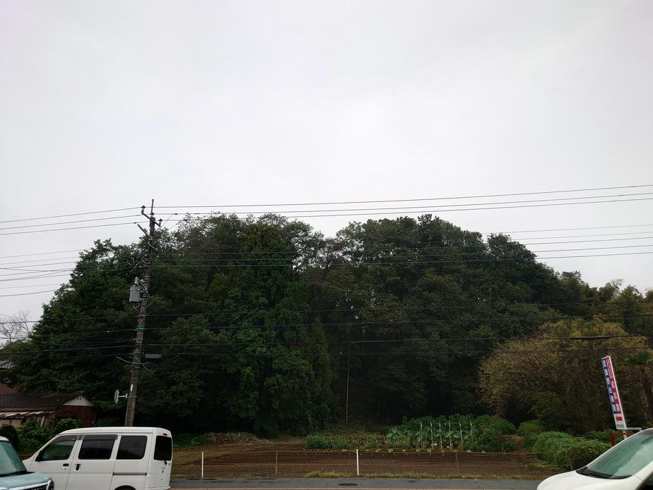 今井城