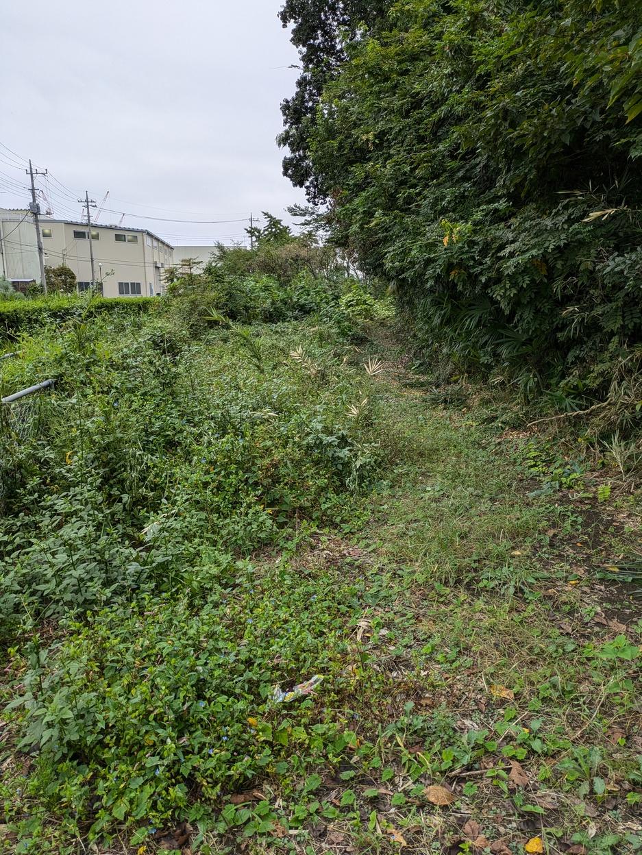 井沼館