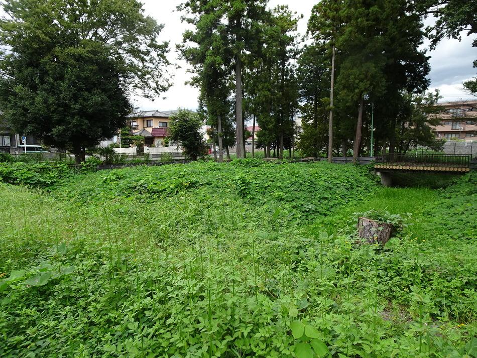 花崎城