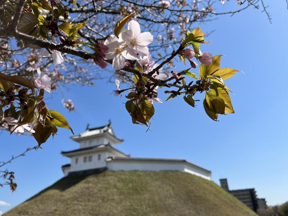 宇都宮城