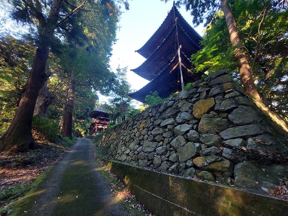 西明寺城