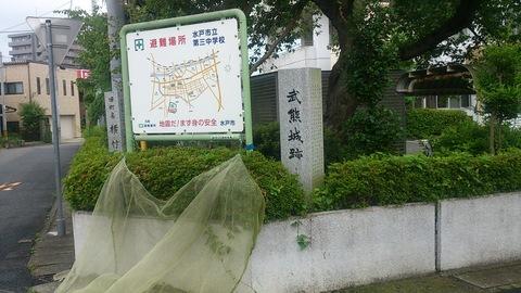 武熊城