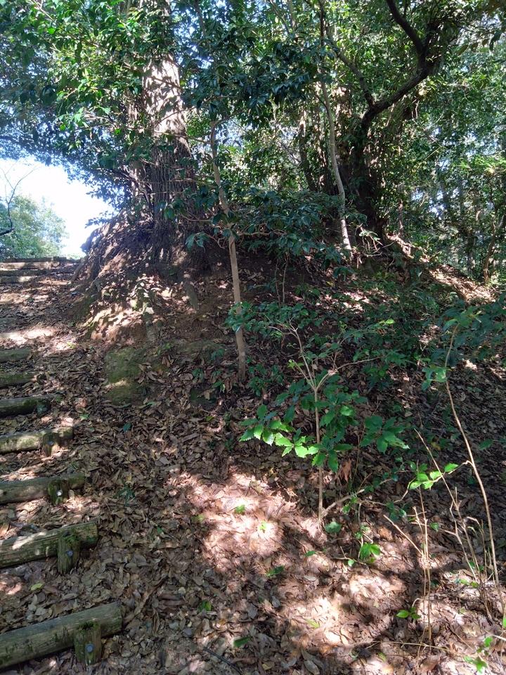 防己尾城