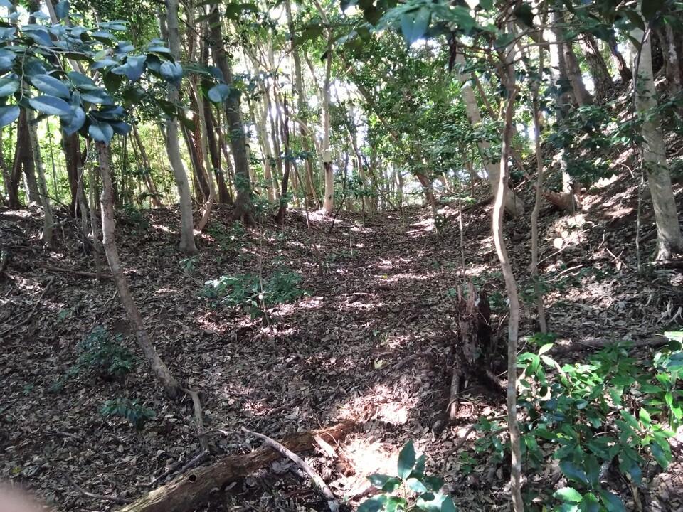 防己尾城