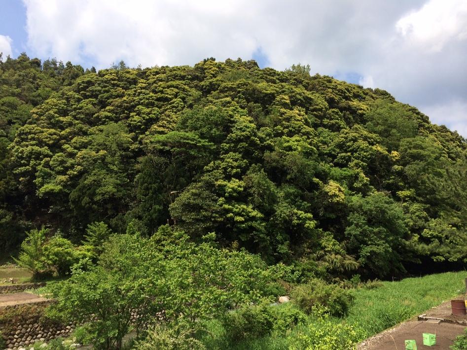 草幾山城