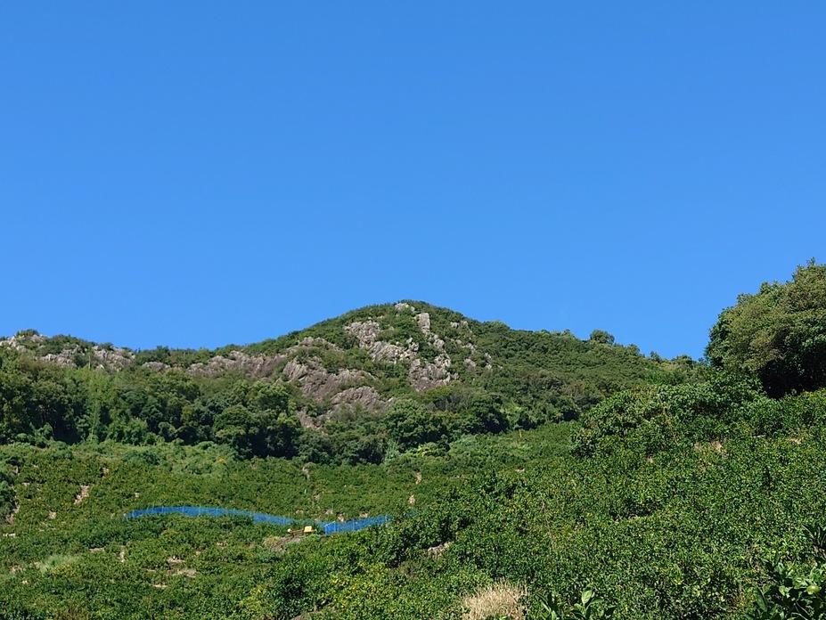 岩室城