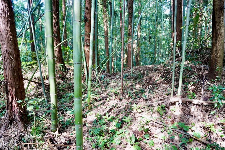 野口城