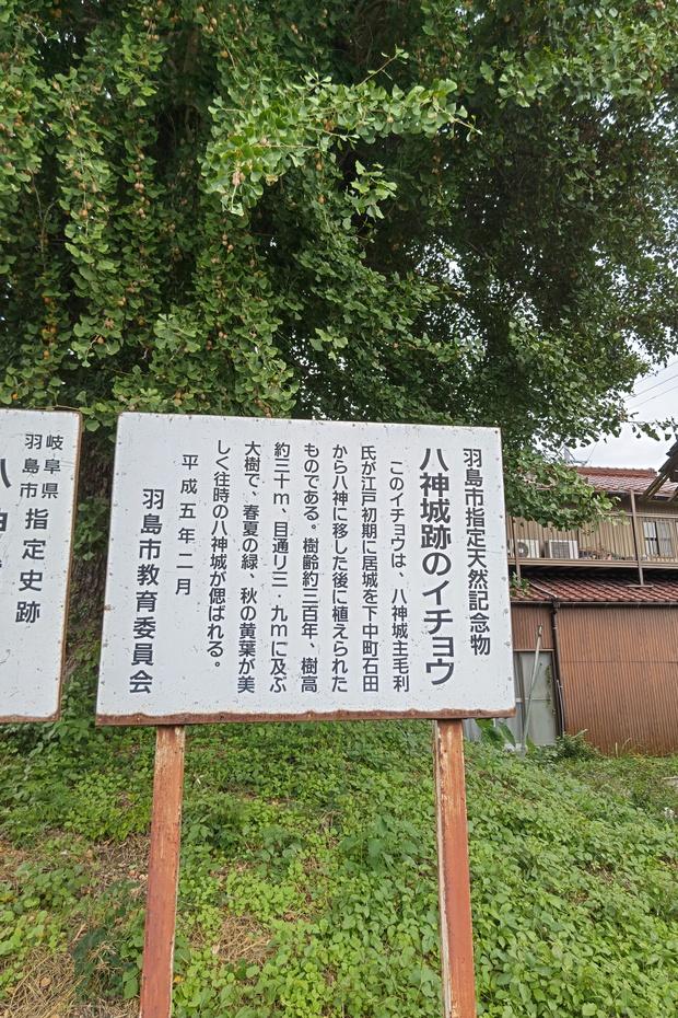 八神城