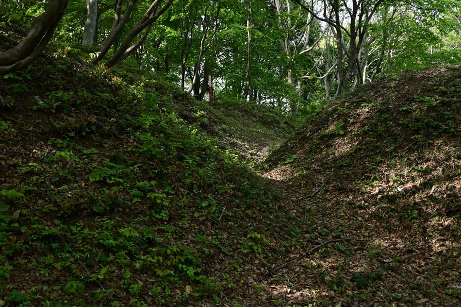 鳥坂城