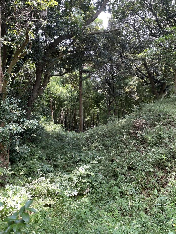 小見川城