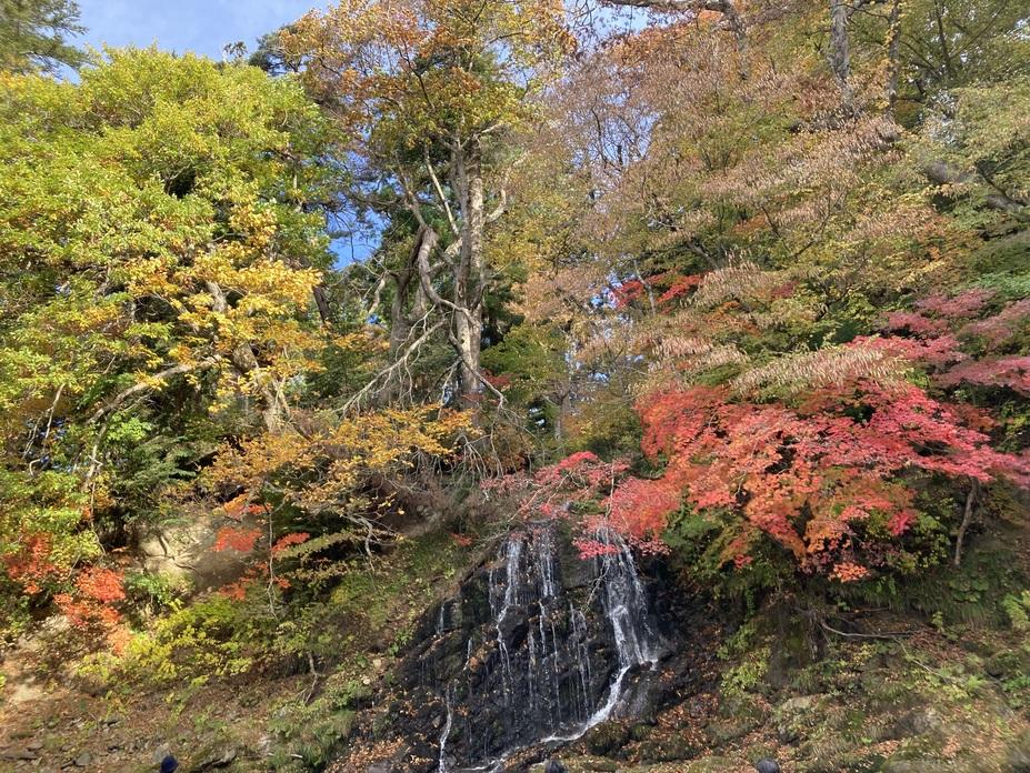 中野不動館