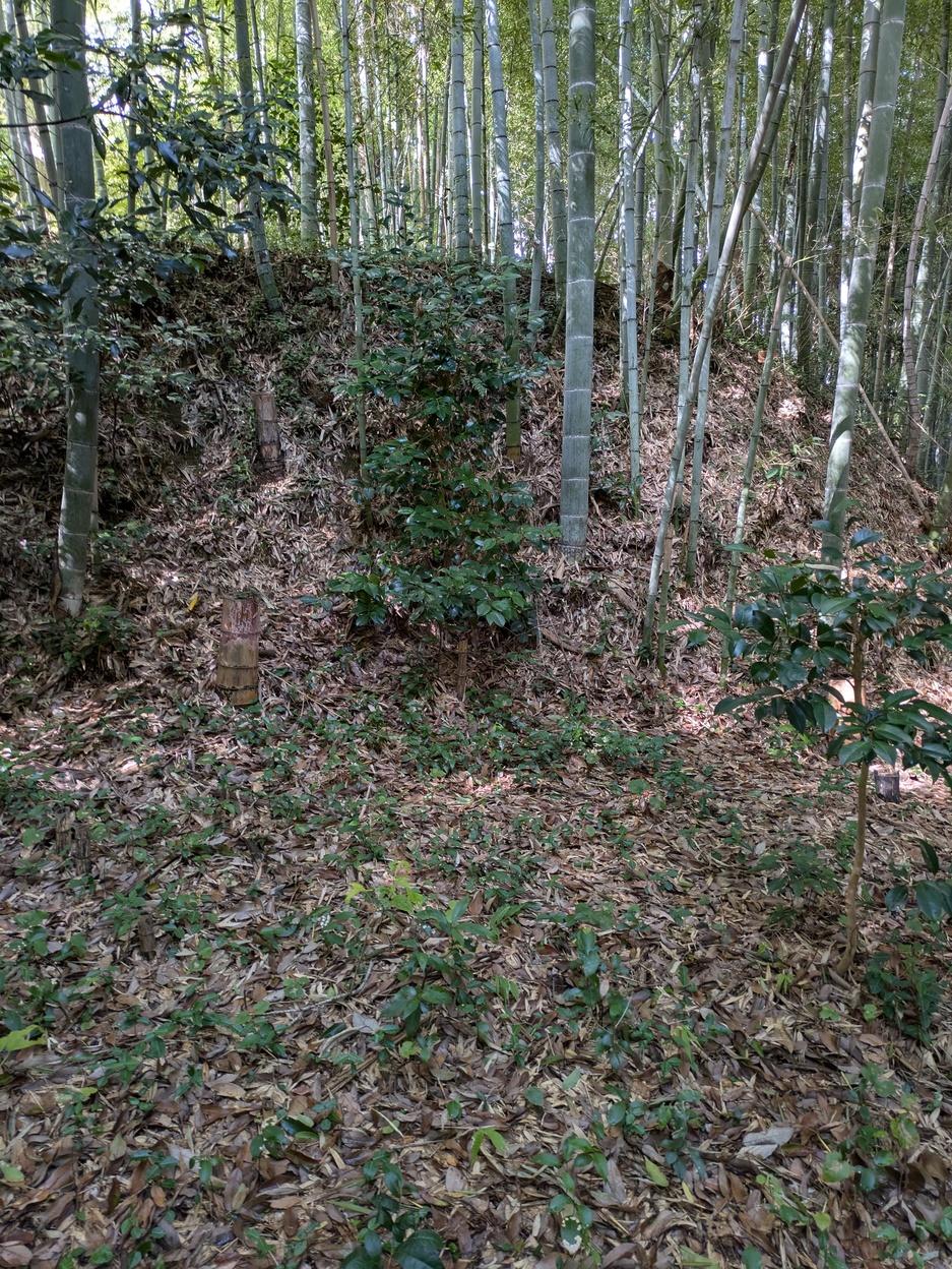 沢田城