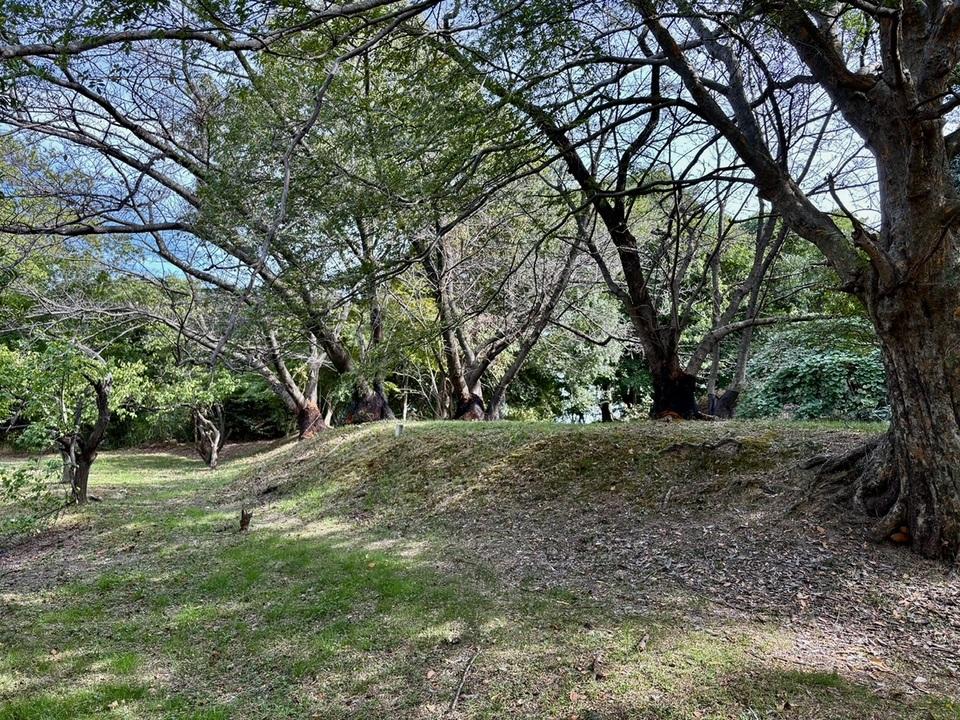 小山城