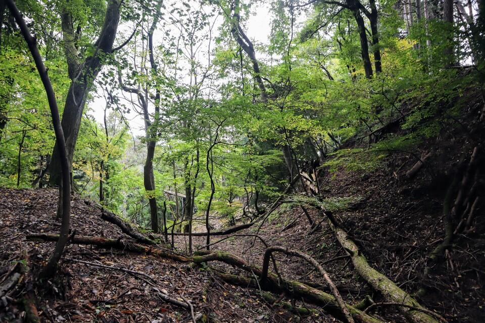 山吹城