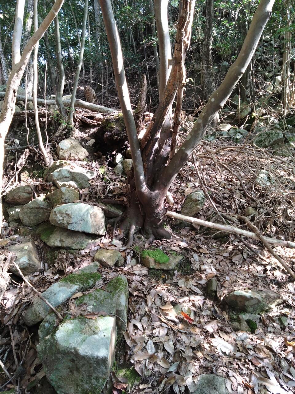 七郎城