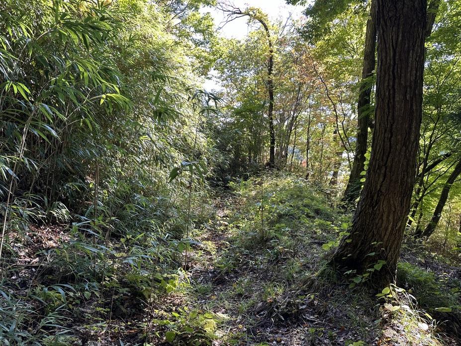 長谷堂城