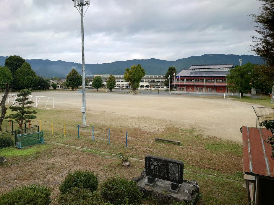 新城城