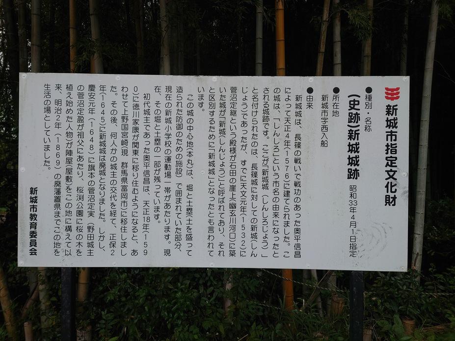 新城城