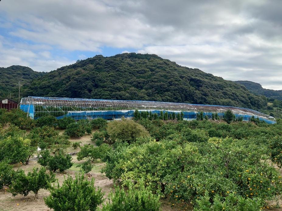 千頭峯城