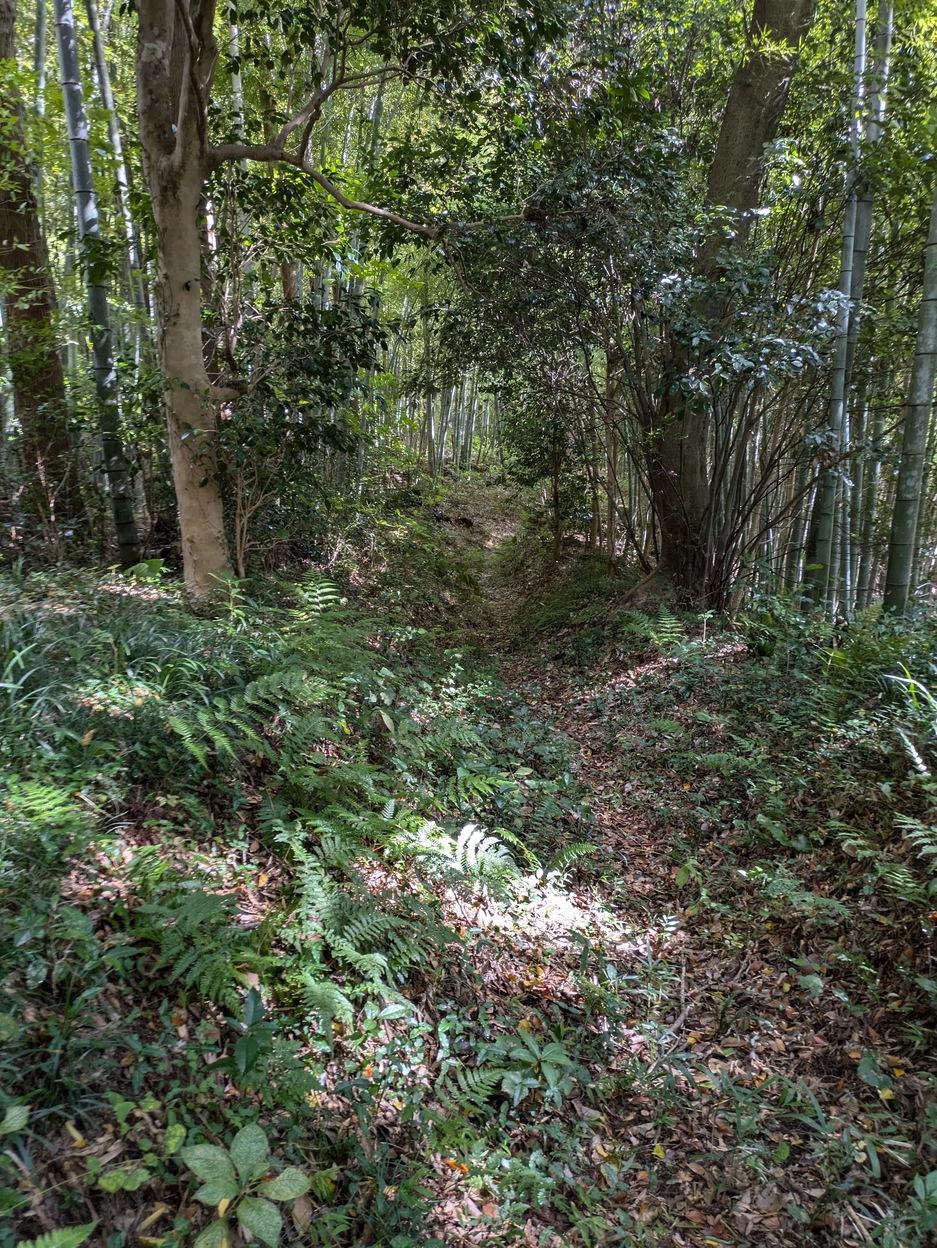 沢田城