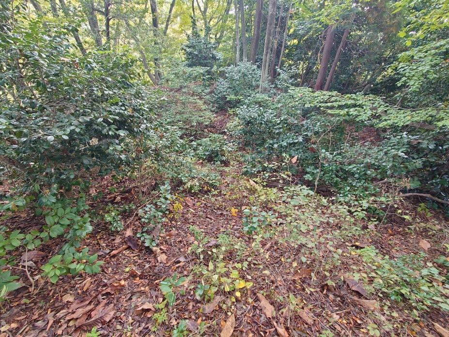 成願寺城