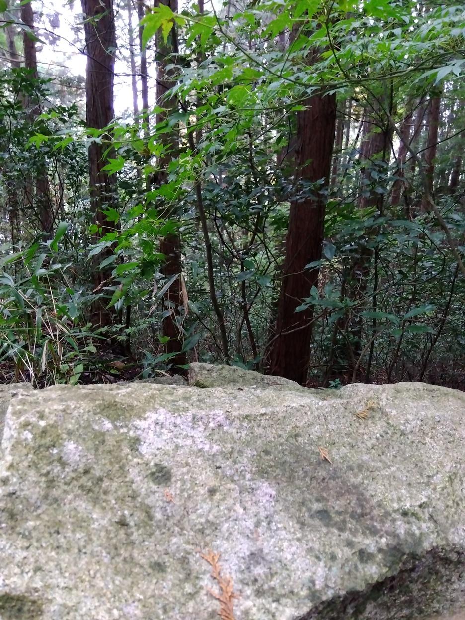 五品嶽城