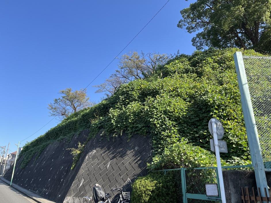 権現山城