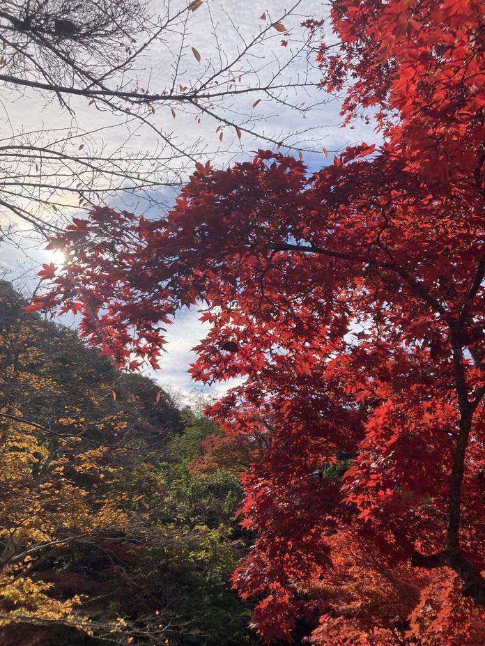 中野不動館