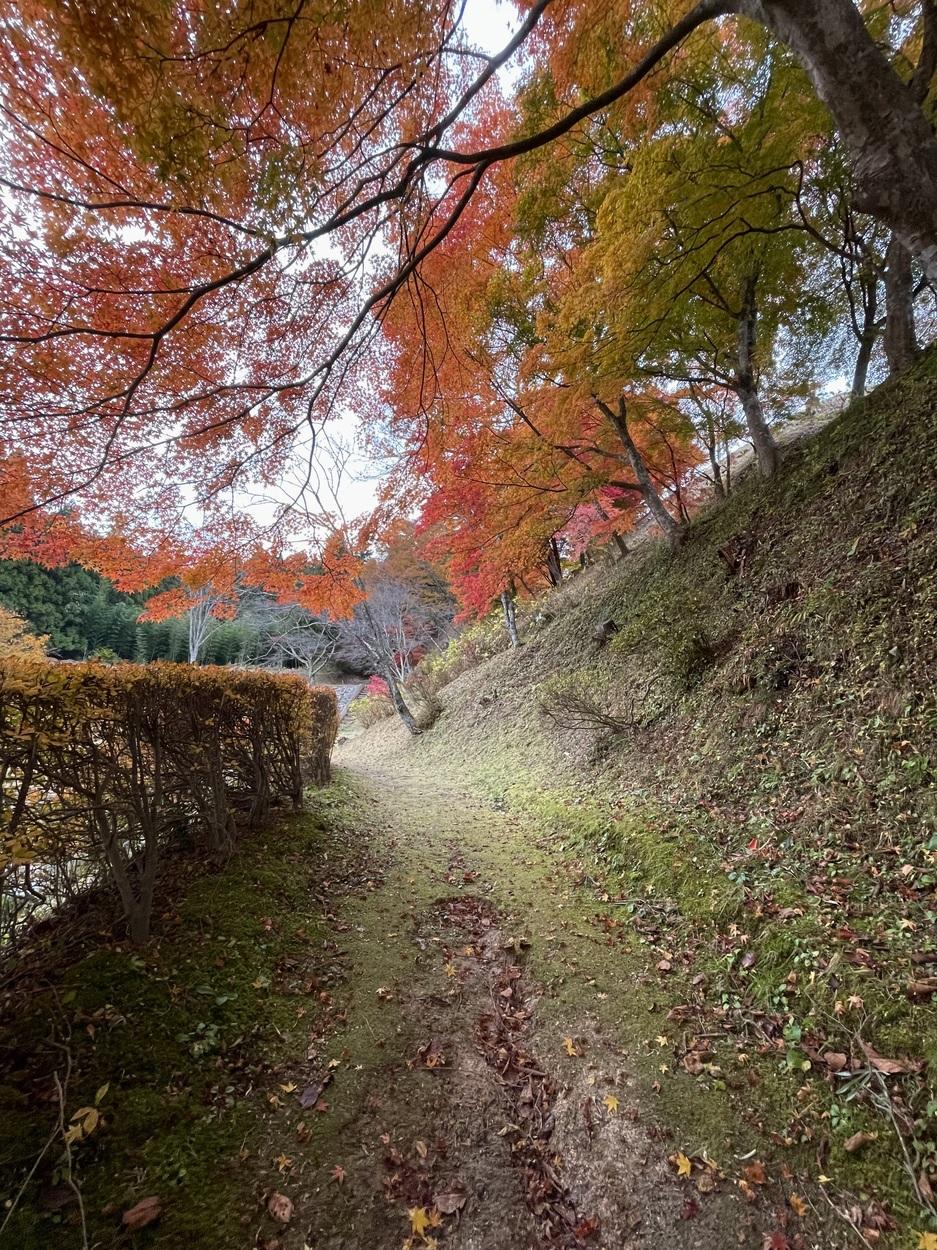 常盤城