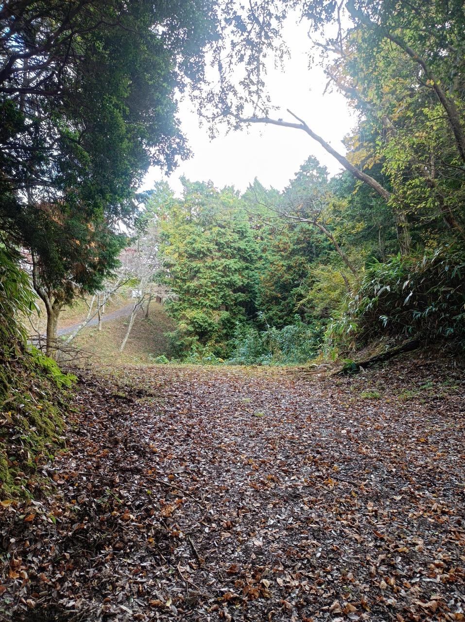 小川城