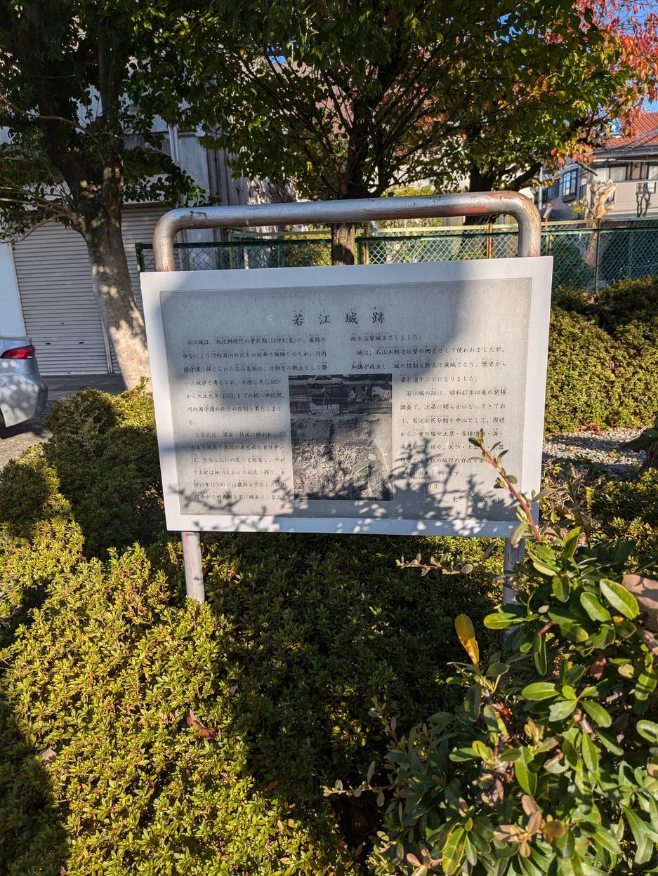 若江城
