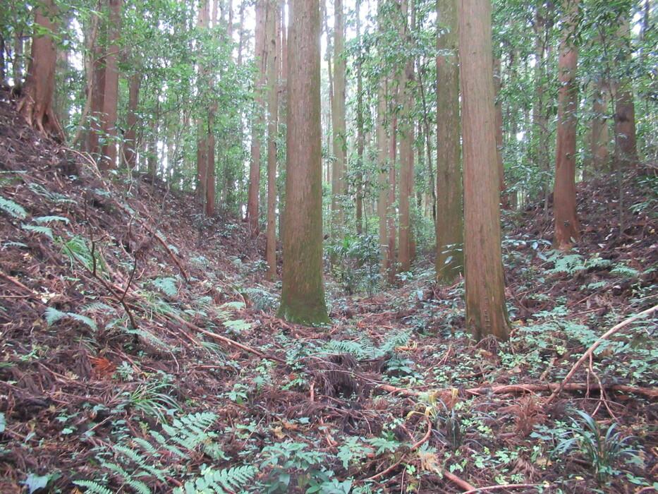 大宮城