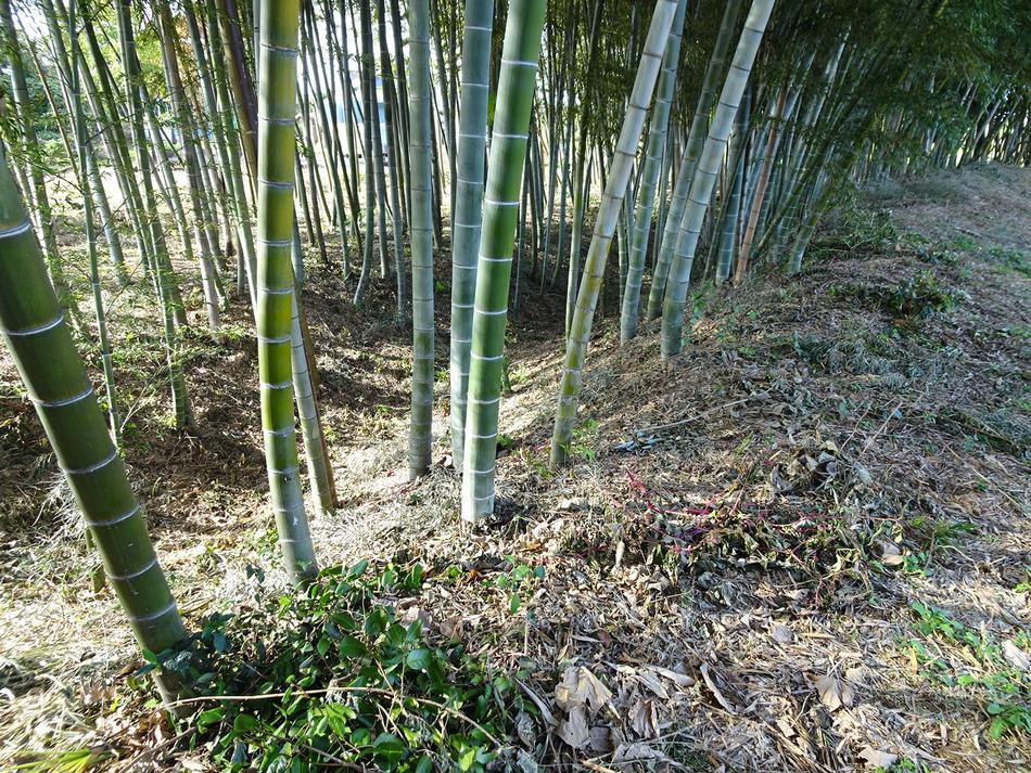 人見館