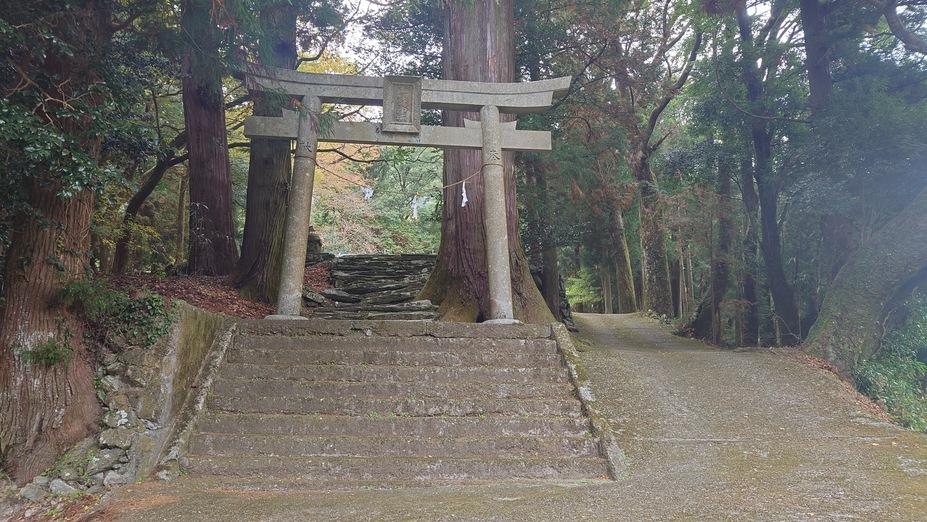 森遠城