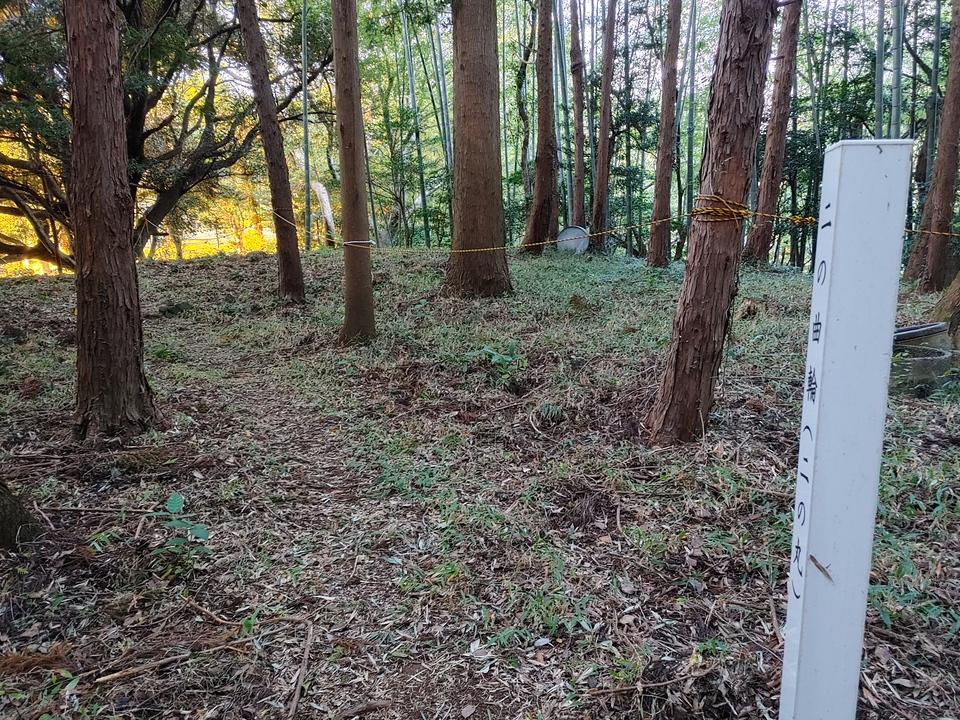 花沢城
