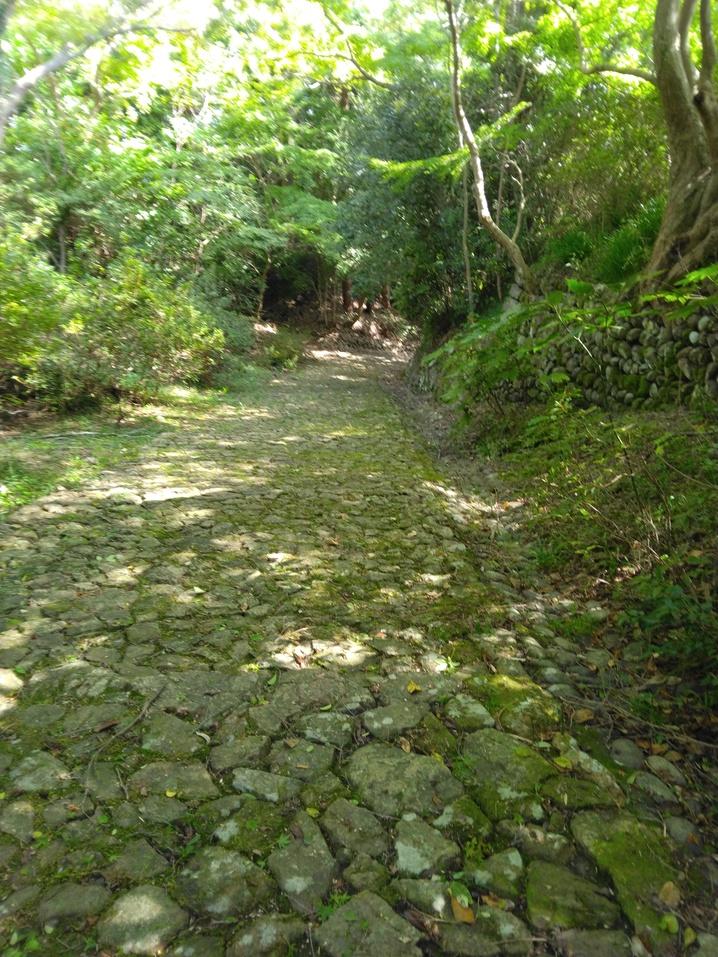 鳥羽山城