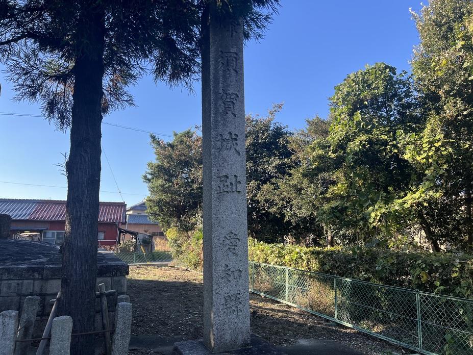 蜂須賀城