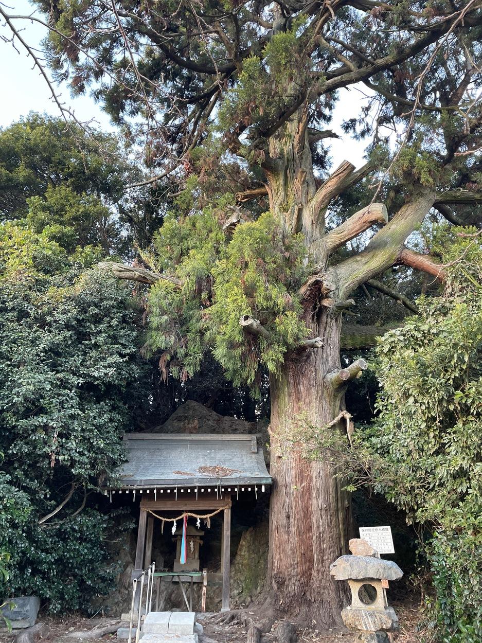 三田村城