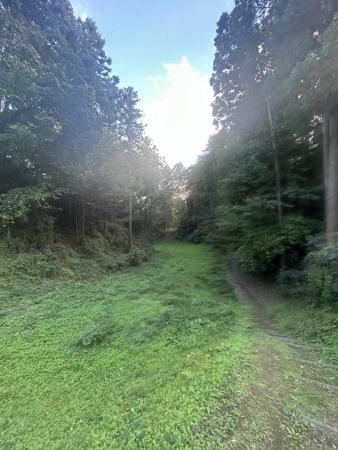 箕輪城