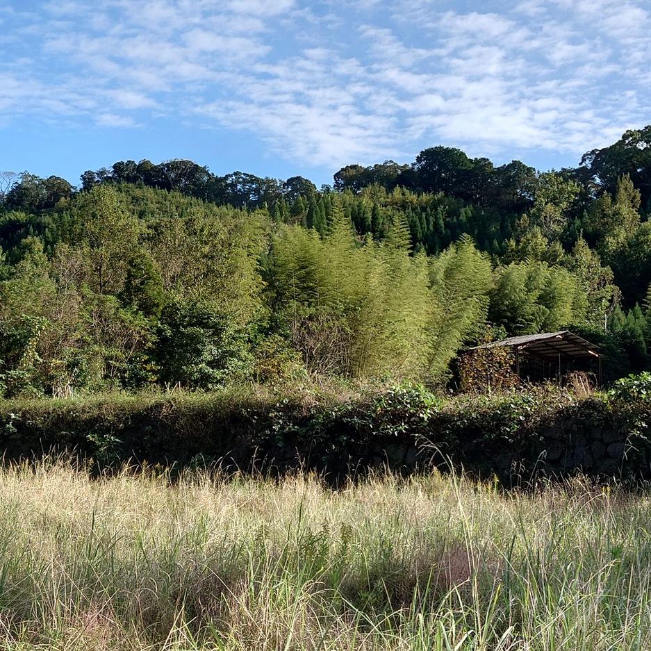 門川城